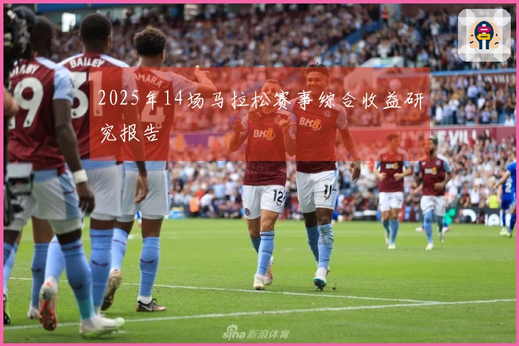 2025年14场马拉松赛事综合收益研究报告