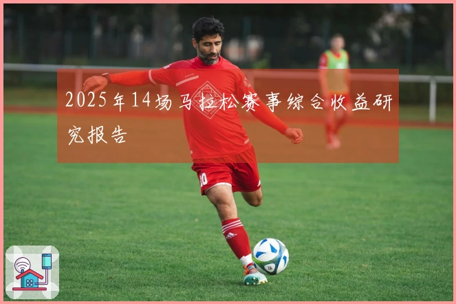 2025年14场马拉松赛事综合收益研究报告
